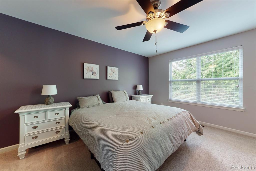 58097 SUNFLOWER Circle S, New Hudson, MI 48165 — Photo 19