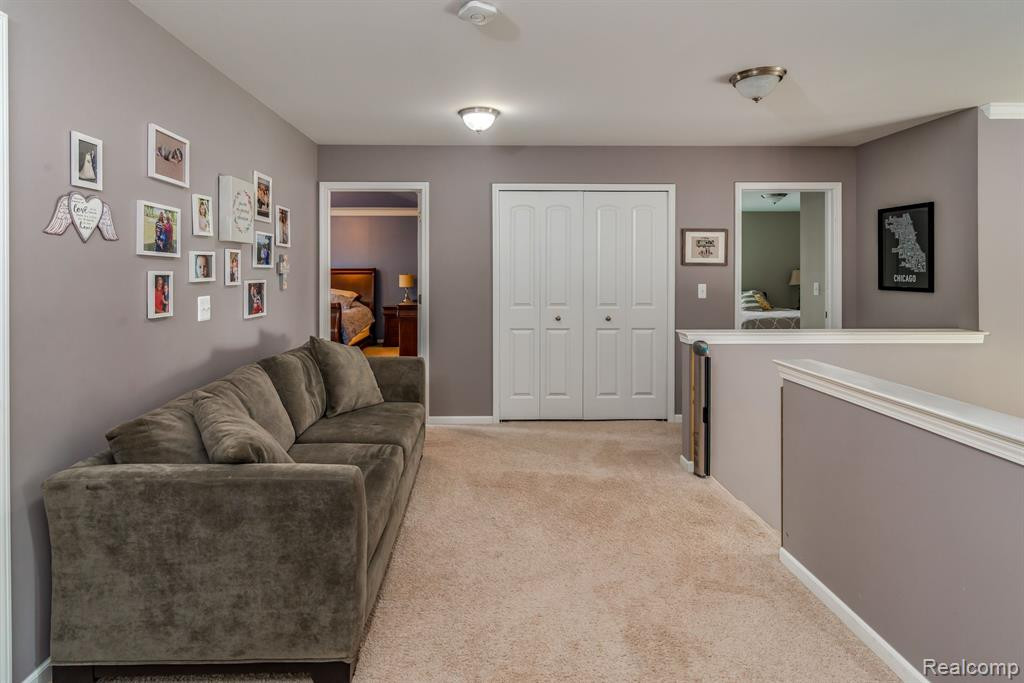 224 CUYAHOGA, South Lyon, MI 48178 — Photo 19