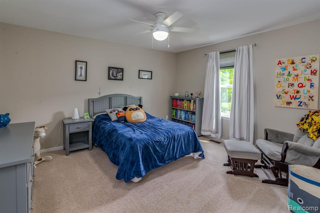224 CUYAHOGA, South Lyon, MI 48178 — Photo 26