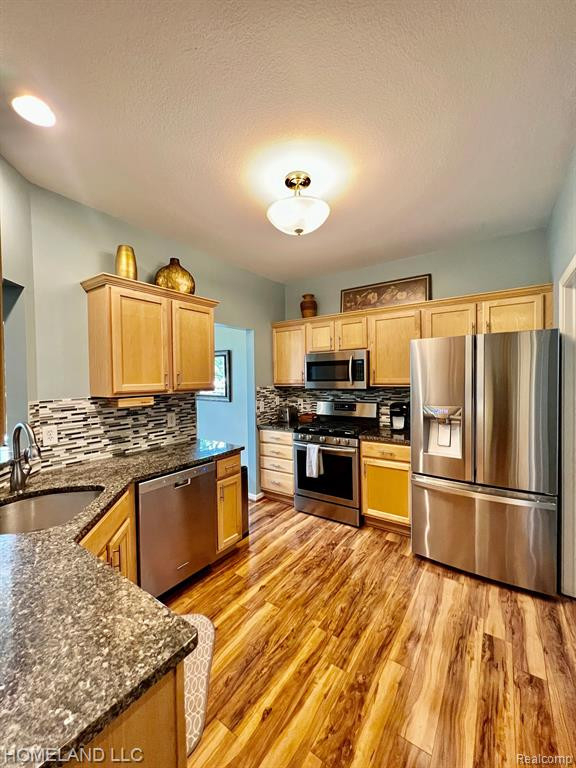 193 BURWYCK PARK Drive, Saline, MI 48176 — Photo 3