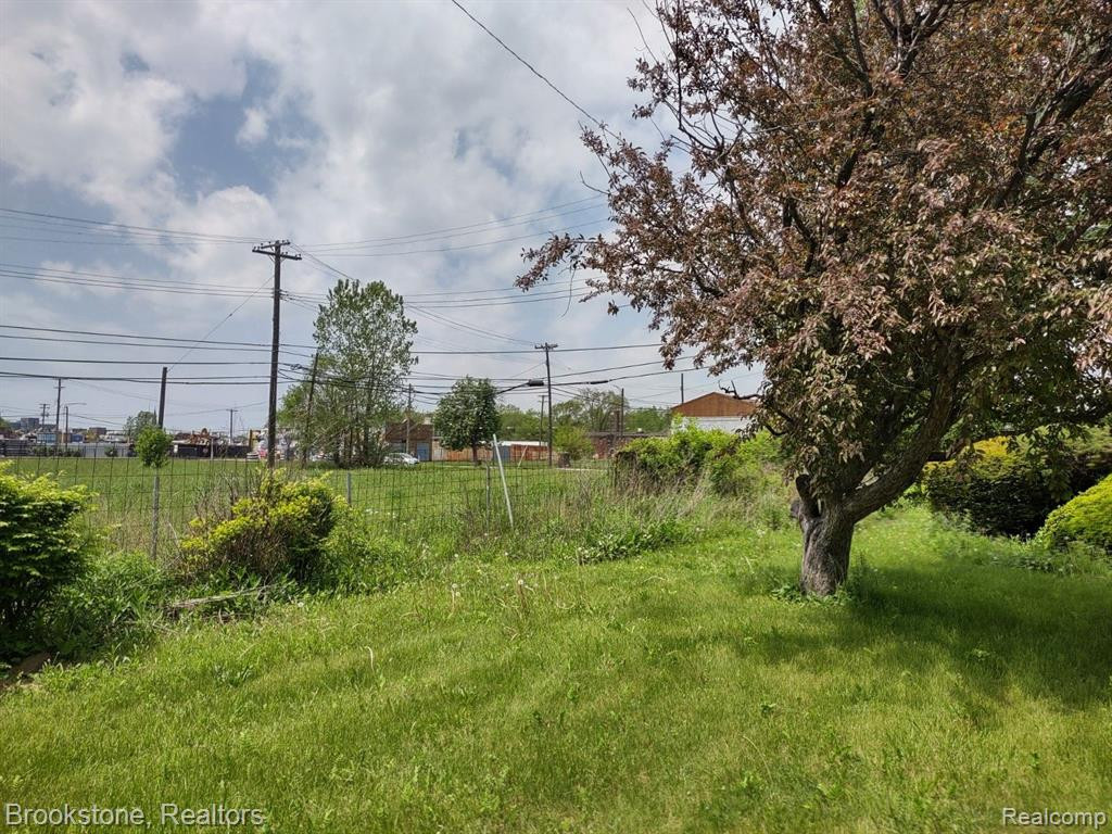 2147 Hale Street, Detroit, MI 48207 — Photo 3
