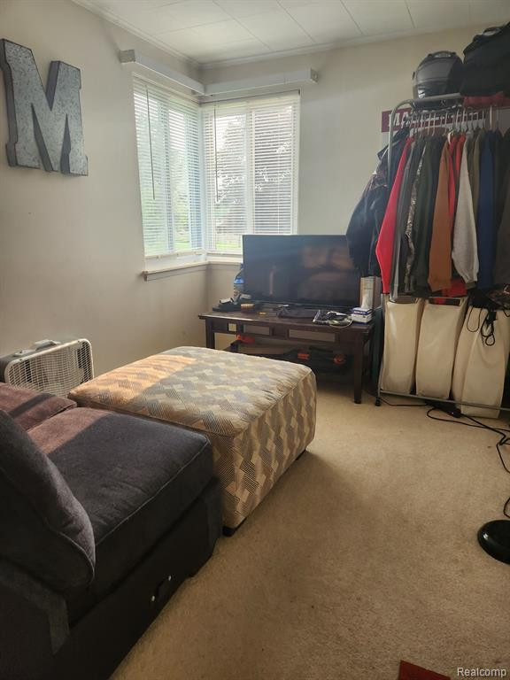 4822 SEEGER Street, Cass City, MI 48726 — Photo 11