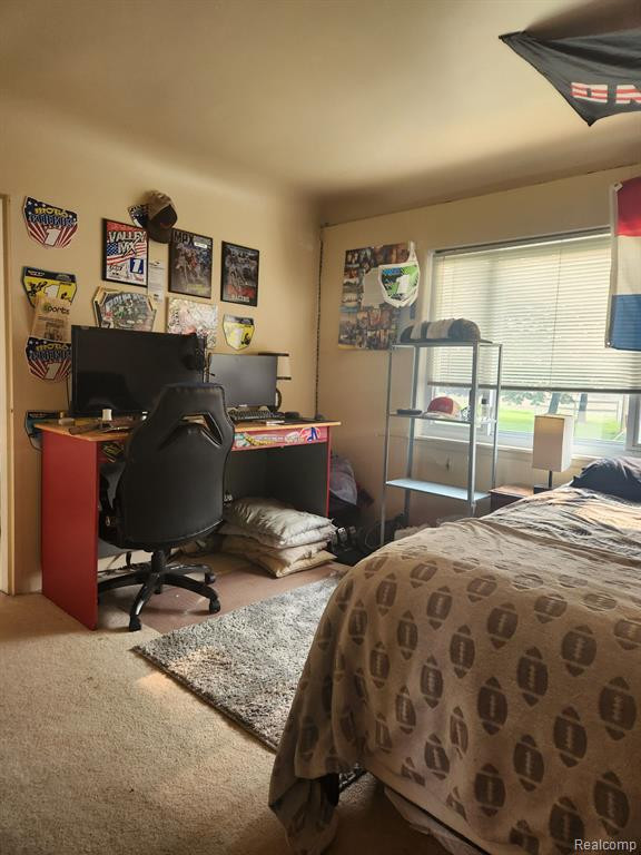 4822 SEEGER Street, Cass City, MI 48726 — Photo 12