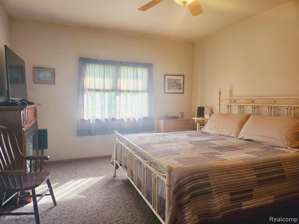 4847 SPRUCE Street, Cass City, MI 48726 — Photo 9