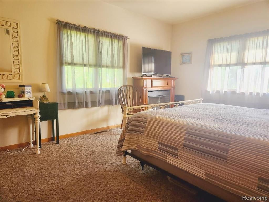 4847 SPRUCE Street, Cass City, MI 48726 — Photo 10
