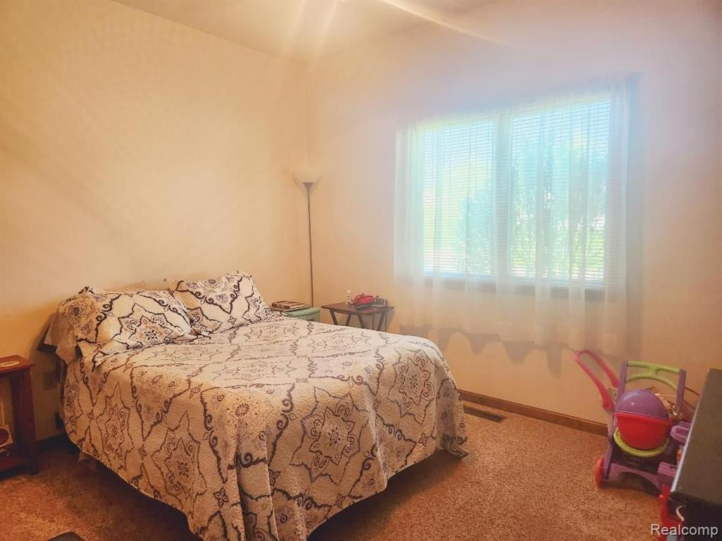 4847 SPRUCE Street, Cass City, MI 48726 — Photo 11