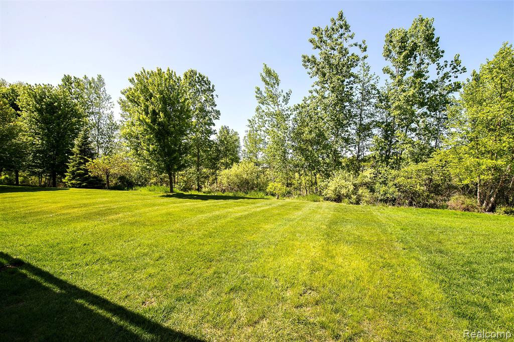 54110 West Court, South Lyon, MI 48178 — Photo 31