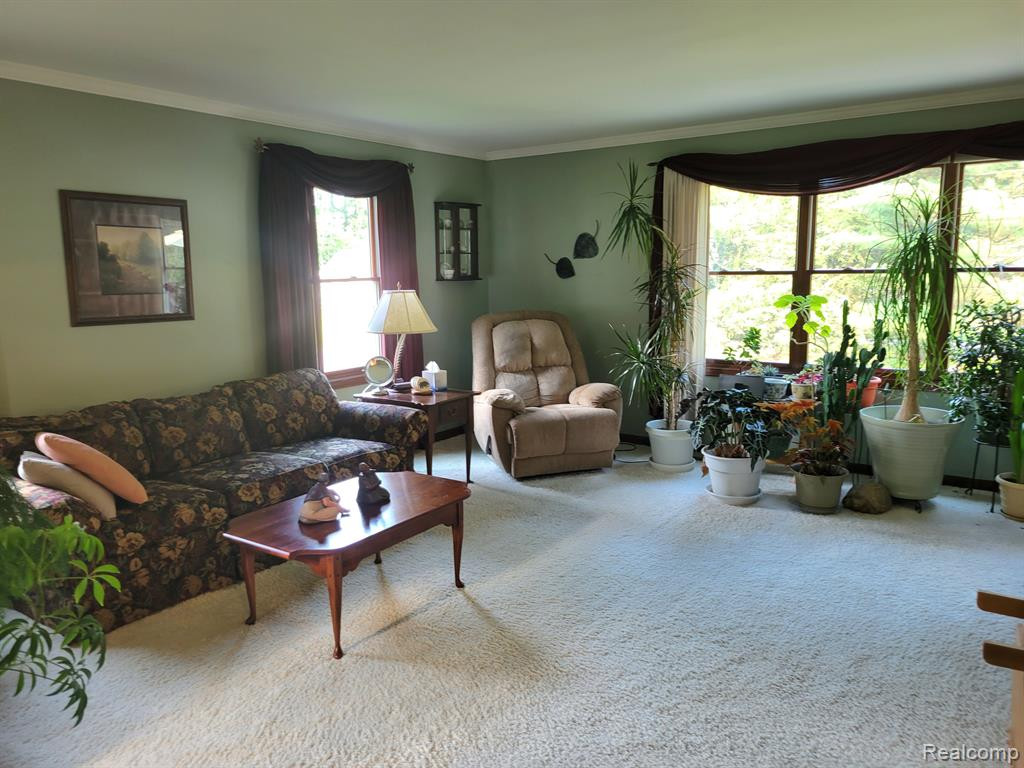 5597 PINE VIEW Drive, Ypsilanti, MI 48197 — Photo 9
