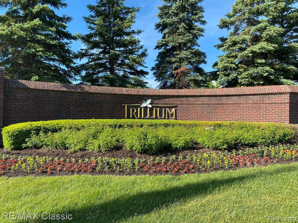 30201 CHANTEL Drive, Commerce Twp, MI 48390 — Photo 32