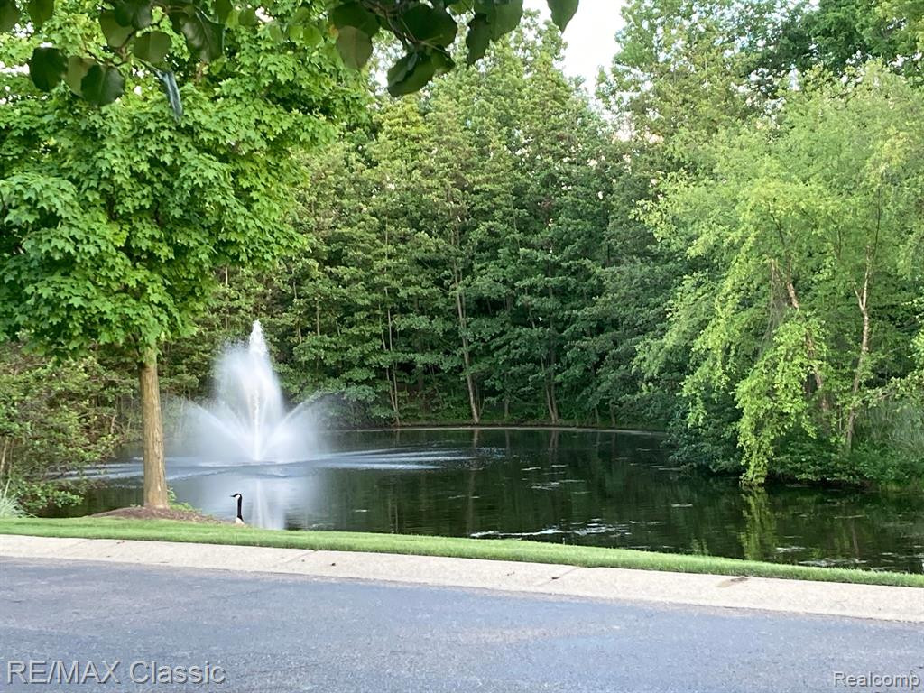 30201 CHANTEL Drive, Commerce Twp, MI 48390 — Photo 38
