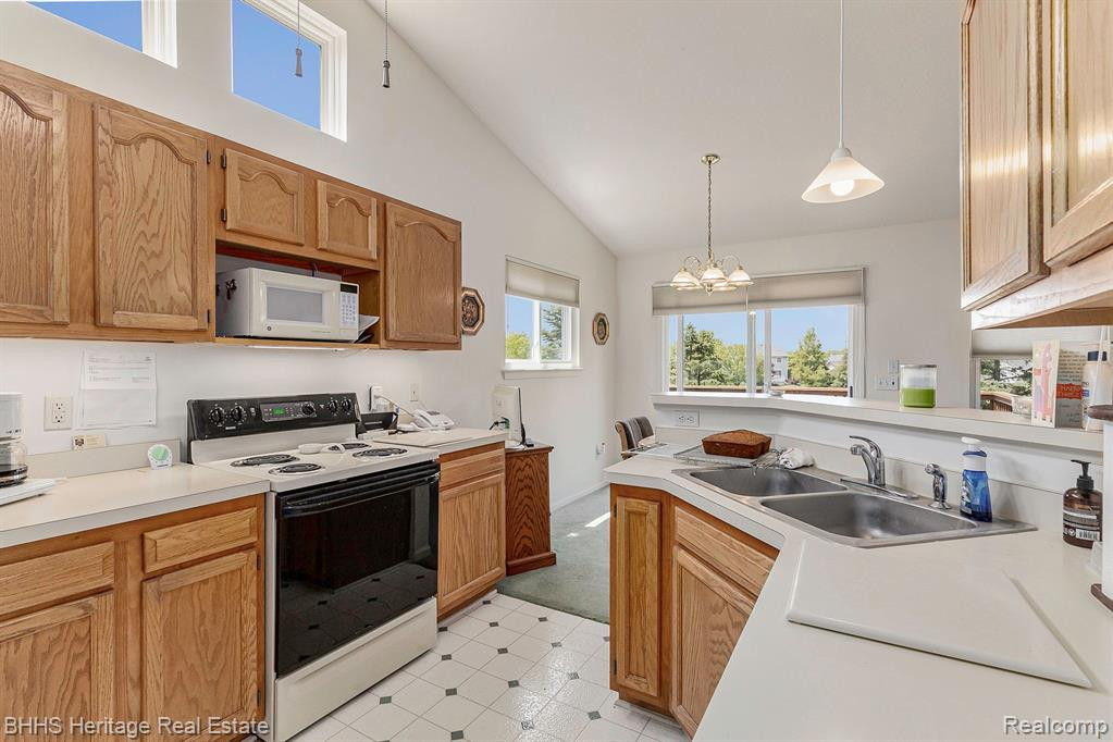 498 LILLY VIEW Court, Howell, MI 48843 — Photo 8