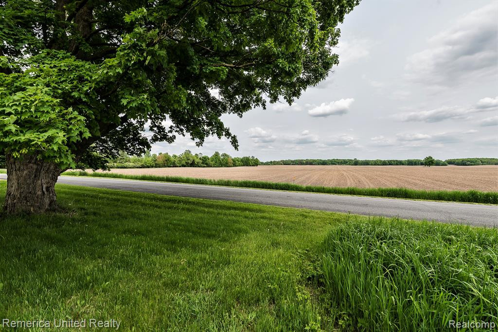 1405 BURKLEY Road, Williamston, MI 48895 — Photo 31