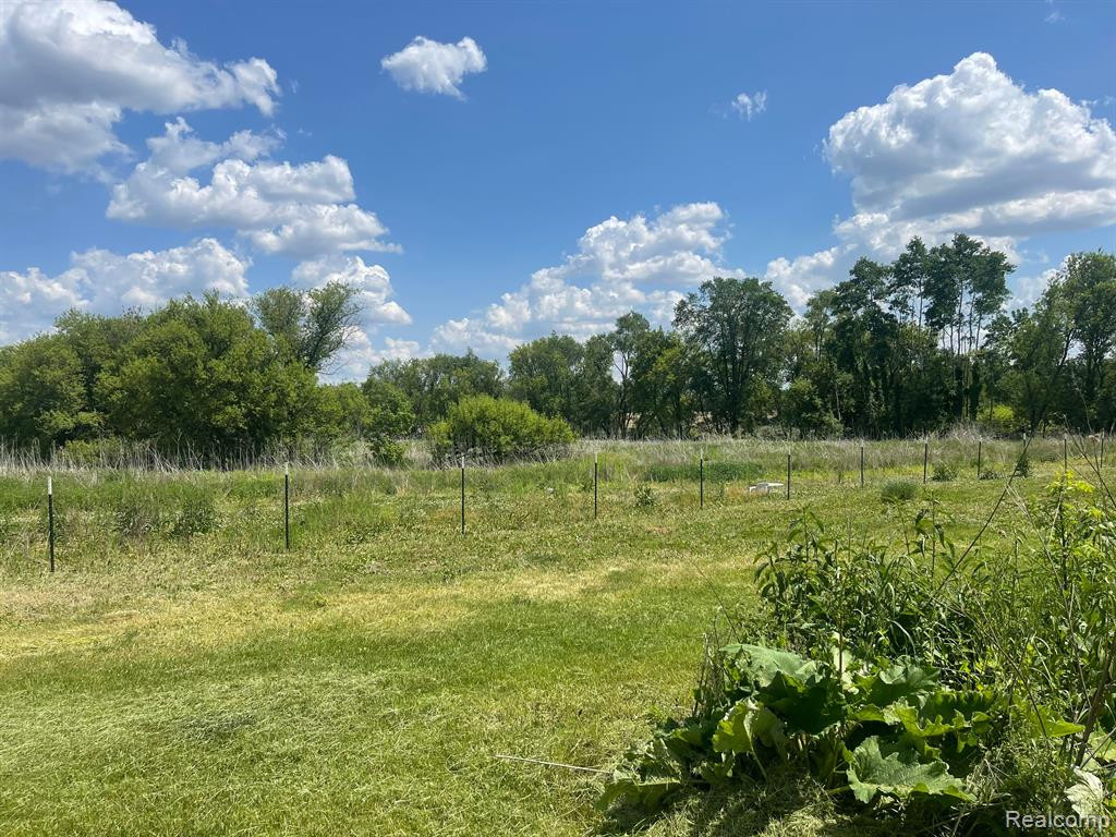6942 1/2 MILE Road, East Leroy, MI 49051 — Photo 3