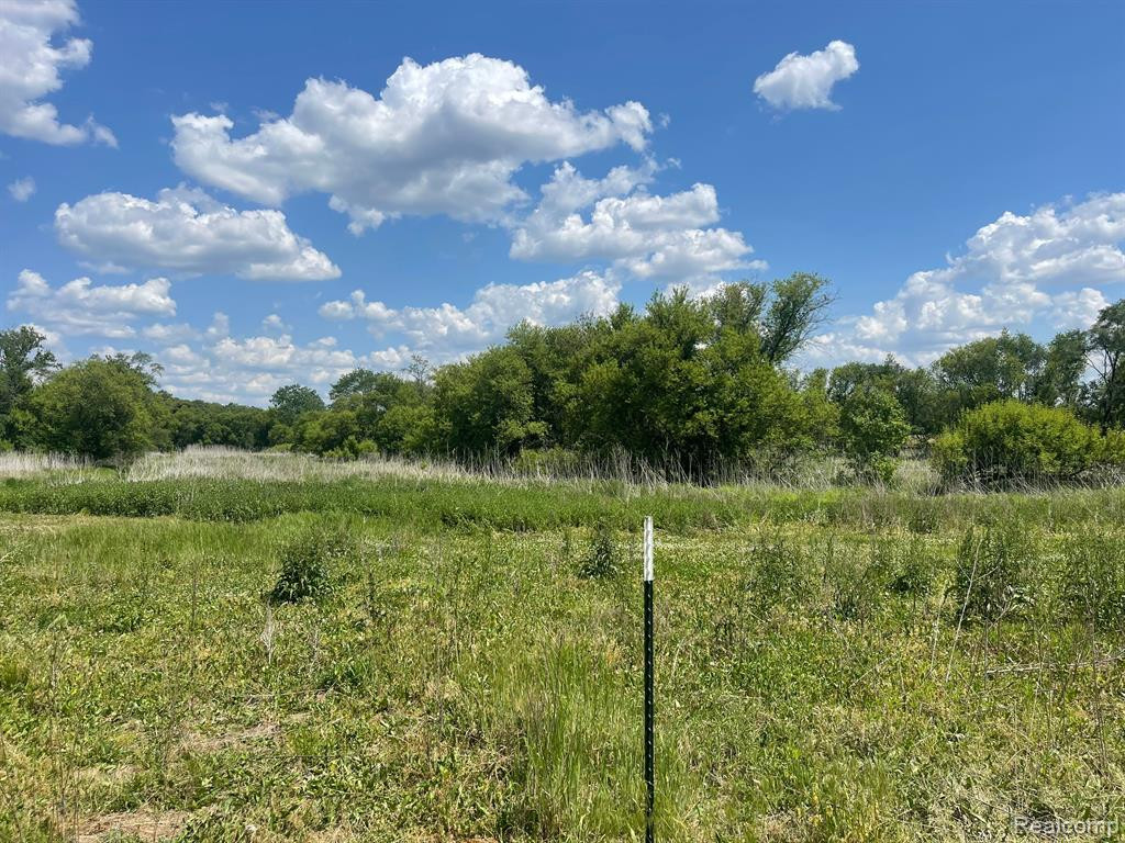 6942 1/2 MILE Road, East Leroy, MI 49051 — Photo 4