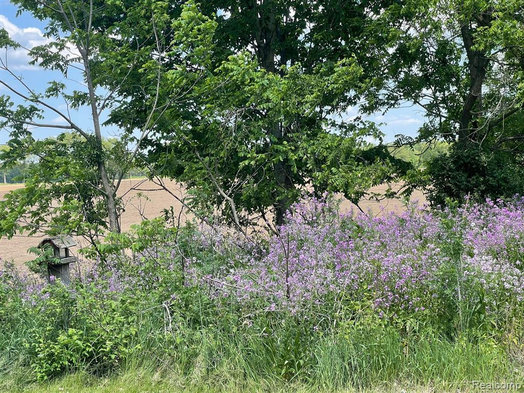 6942 1/2 MILE Road, East Leroy, MI 49051 — Photo 13