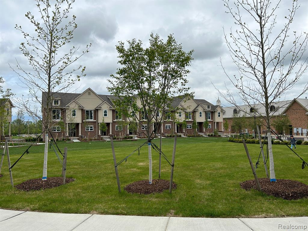 41656 ORIANNA Lane, 7, Novi, MI — Photo 5