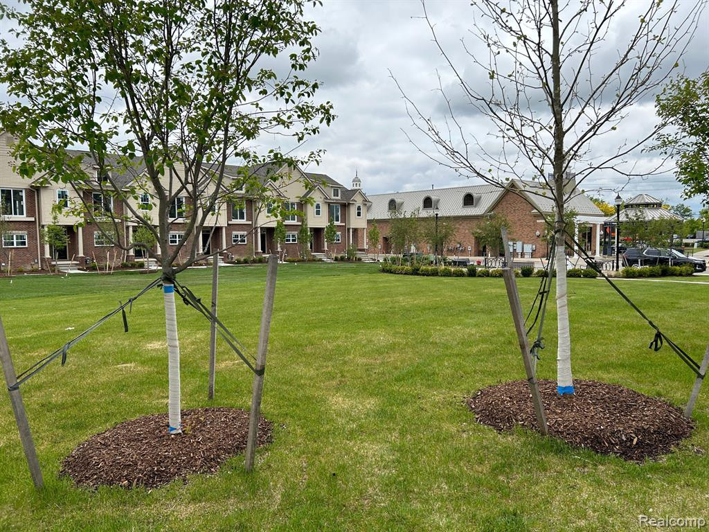 41656 ORIANNA Lane, 7, Novi, MI — Photo 35