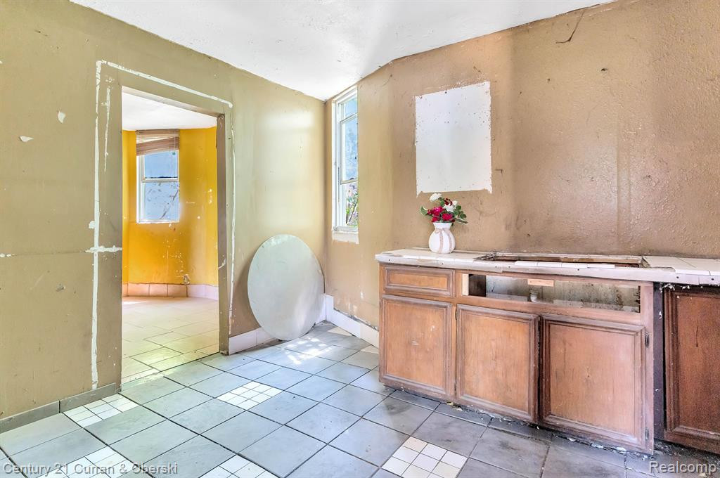 732 S GREEN Street, Detroit, MI 48209 — Photo 5