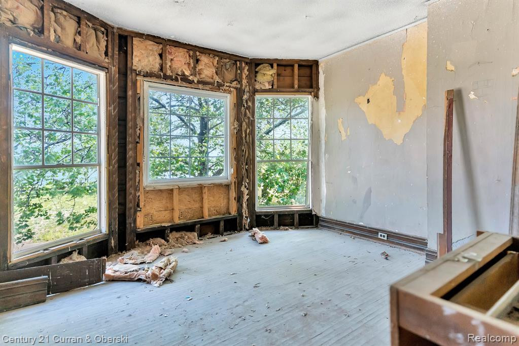732 S GREEN Street, Detroit, MI 48209 — Photo 9