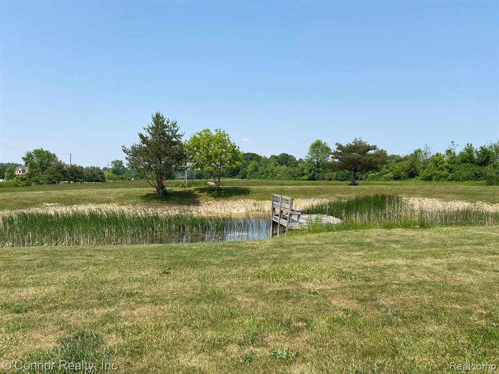 10400 BRANDON Road, Kenockee, MI 48006 — Photo 4