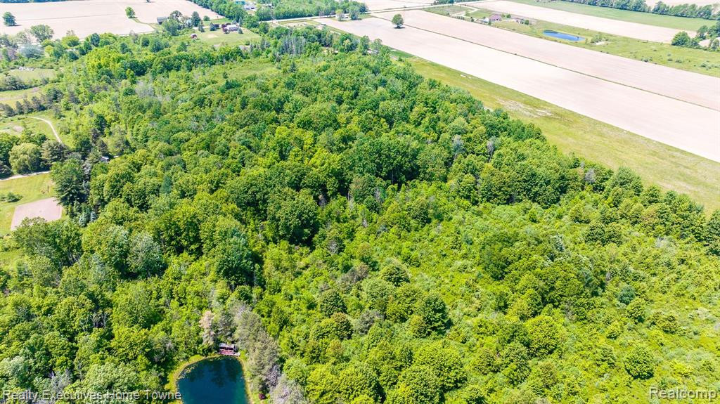 7616 FARGO Road, Greenwood, MI 48006 — Photo 18