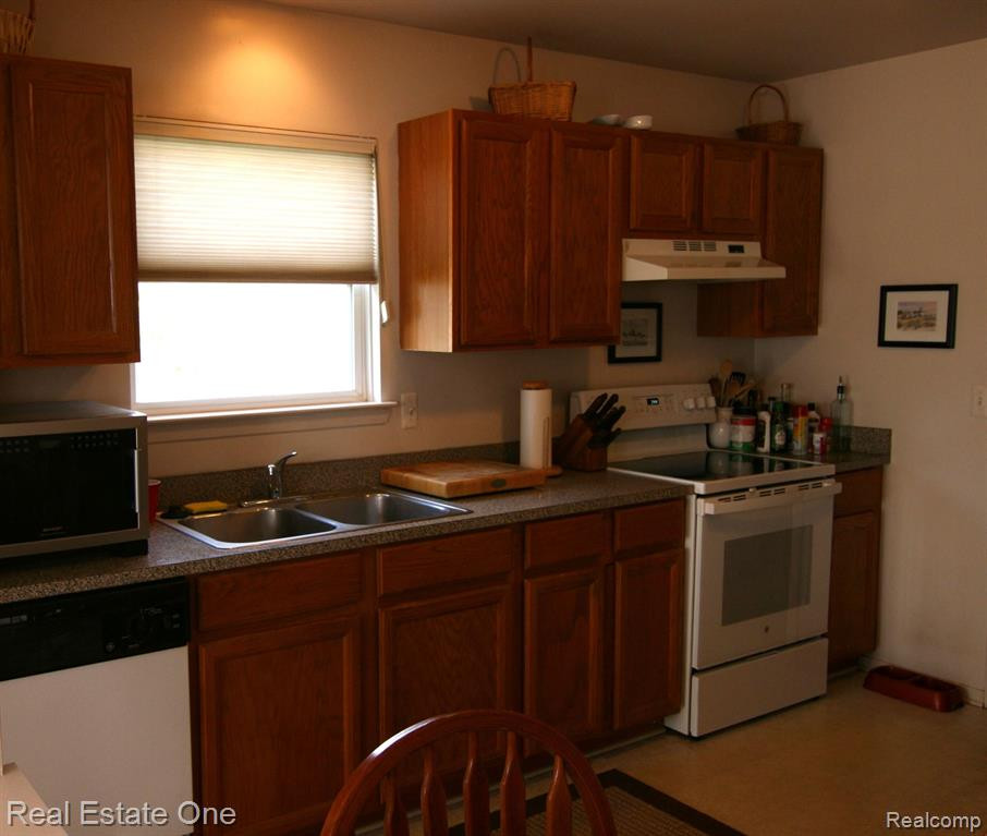 197 Shore Brook Lane, Commerce Twp, MI 48390 — Photo 7