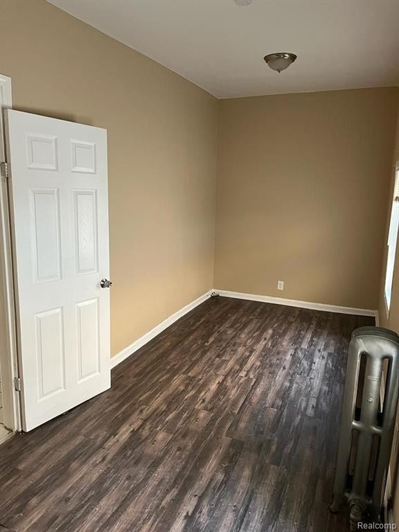 4858 SAINT HEDWIG Street, Detroit, MI 48210 — Photo 4