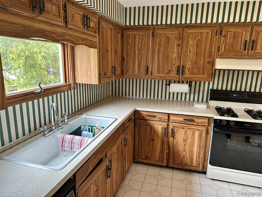 4221 HURON Street, North Branch, MI 48461 — Photo 5