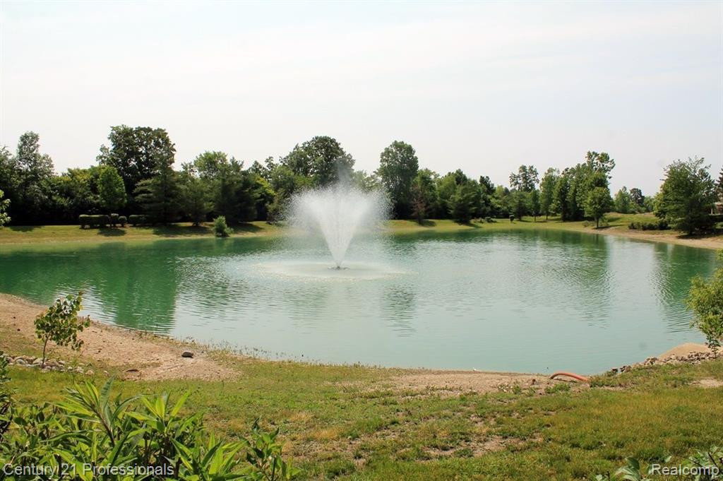 48554 EASTBRIDGE Drive, Canton, MI 48188 — Photo 38