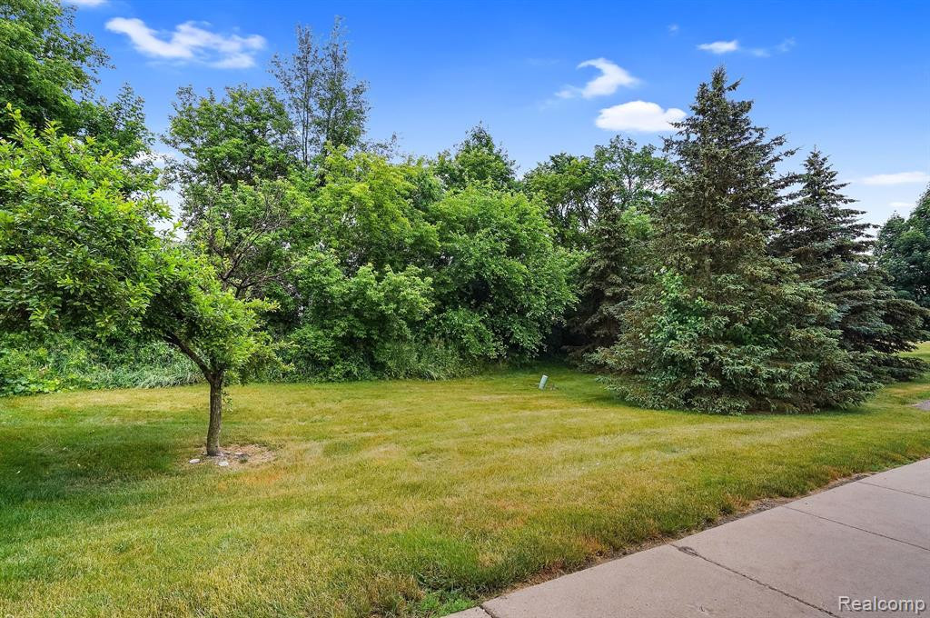 228 BROOKWOOD Drive, 6, South Lyon, MI 48178 — Photo 17