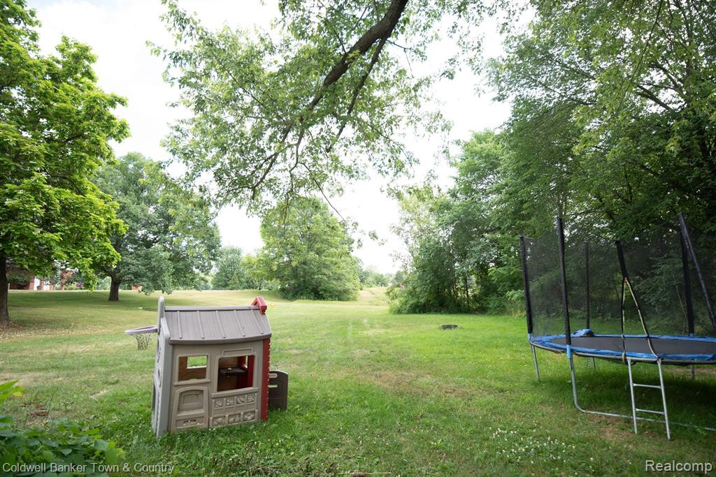 326 N ANN Street, Byron, MI 48418 — Photo 4