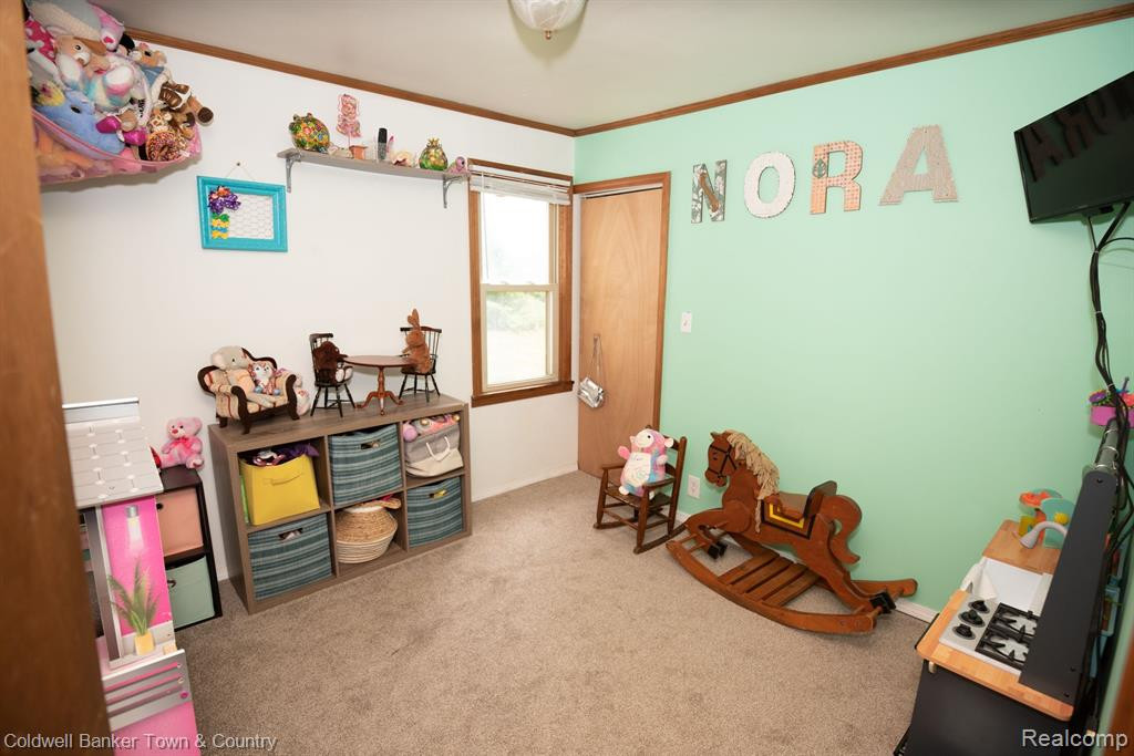 326 N ANN Street, Byron, MI 48418 — Photo 12