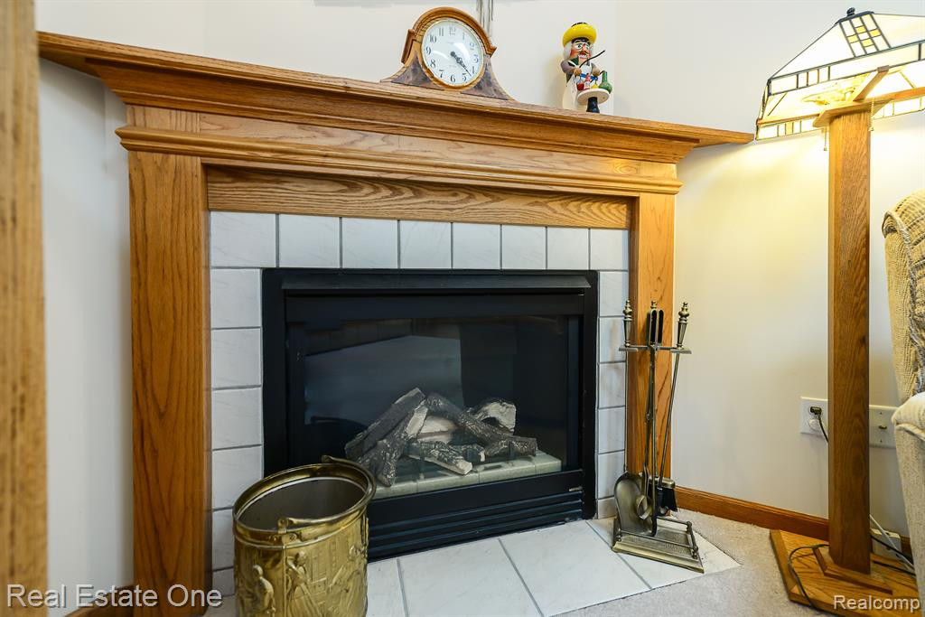 1111 MILDRED J, Brighton, MI 48116 — Photo 10