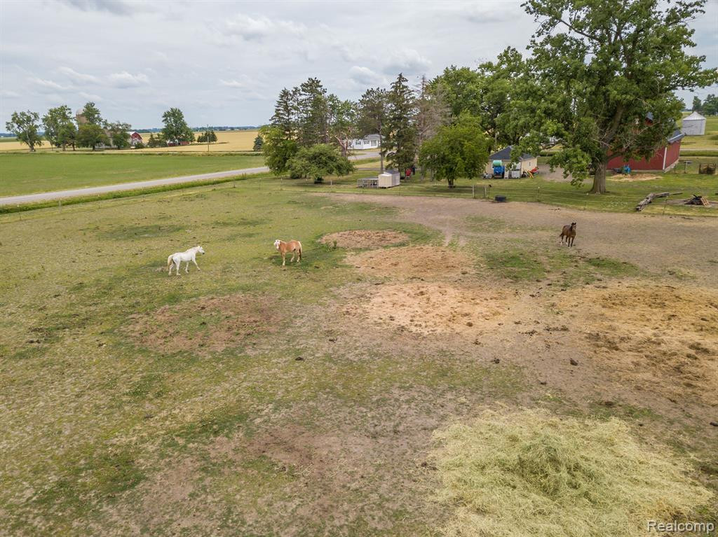 7967 E WESTON Road, Blissfield, MI 49228 — Photo 29