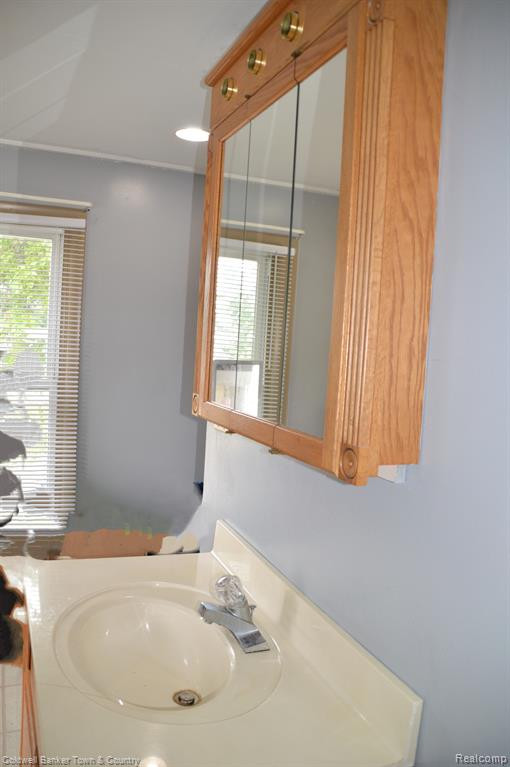 6583 ROUGET Road, Palmyra, MI 49268 — Photo 21
