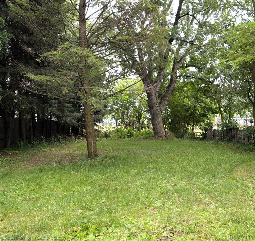 6583 ROUGET Road, Palmyra, MI 49268 — Photo 25