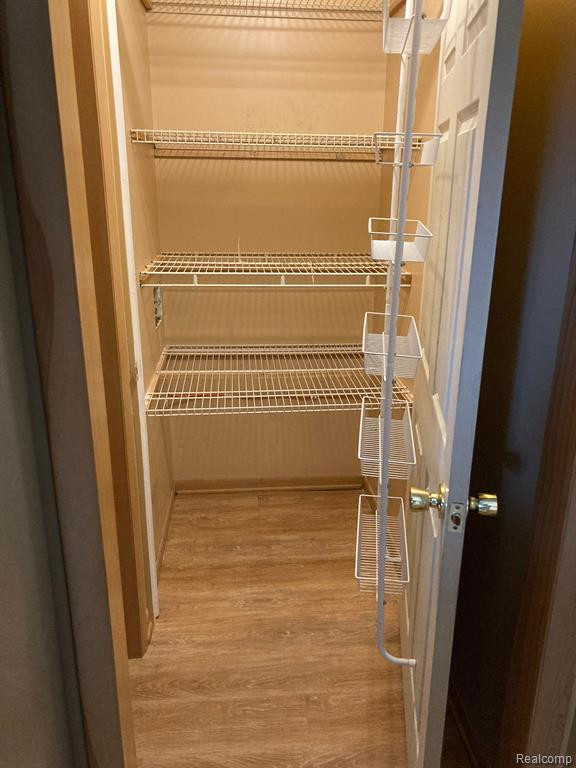 4880 MISTY HILL Drive, Cass City, MI 48726 — Photo 11