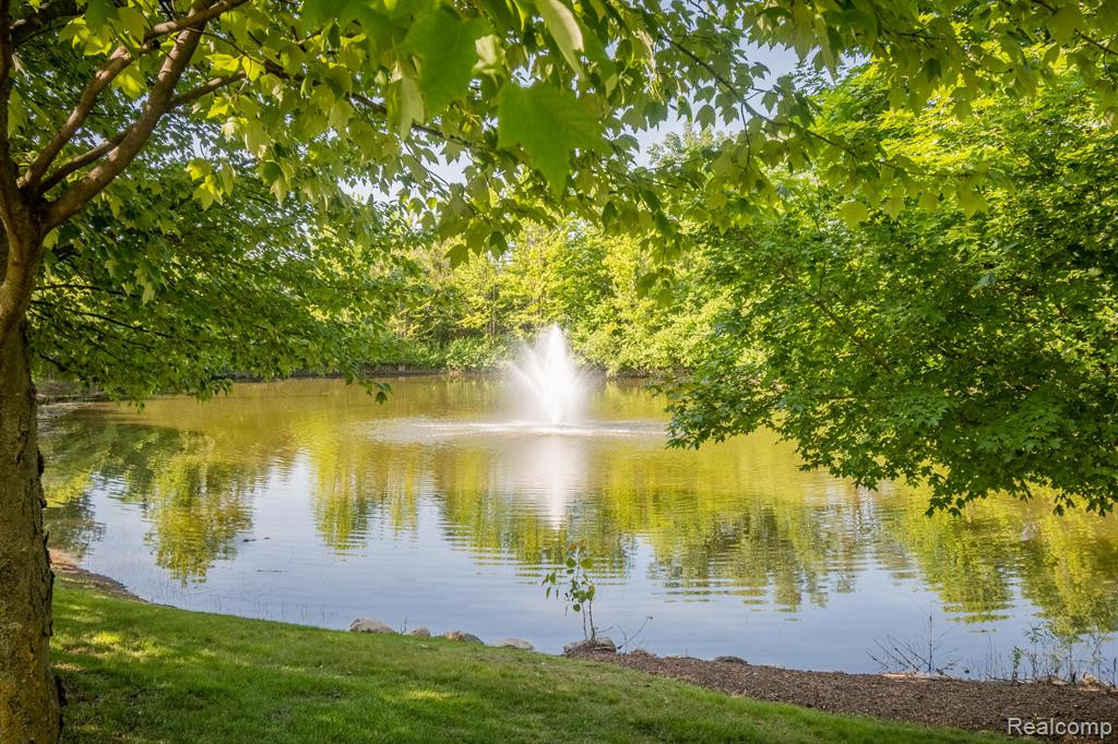 39832 ROCKCREST Circle, Northville, MI 48168 — Photo 24
