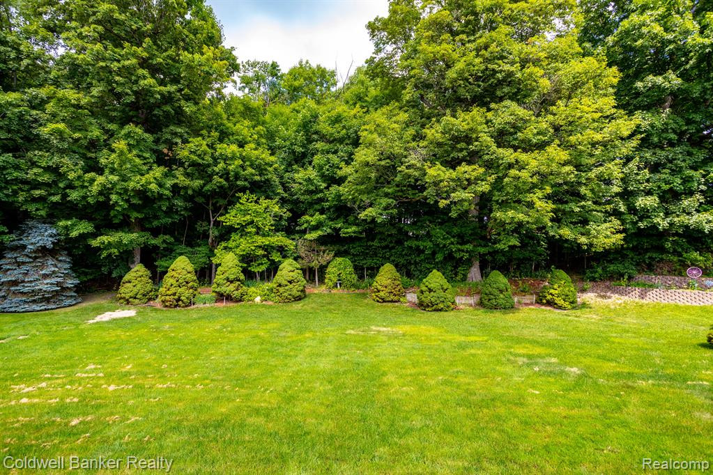 17816 Winchester Drive, Northville, MI 48168 — Photo 10
