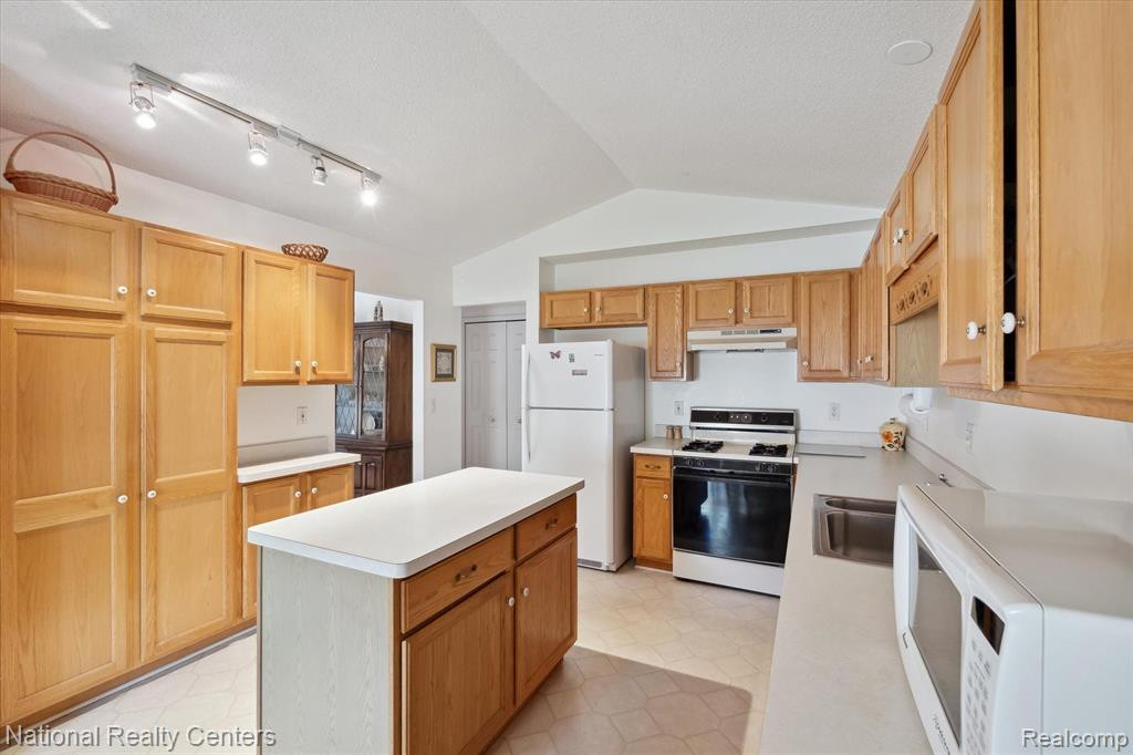 22080 RIVER PINES Drive, Farmington Hills, MI 48335 — Photo 18