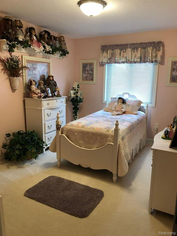12419 MATTHEWS Street, Carleton, MI 48117 — Photo 18
