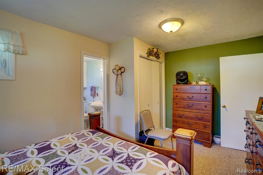 3847 PEET Road, New Lothrop, MI 48460 — Photo 23
