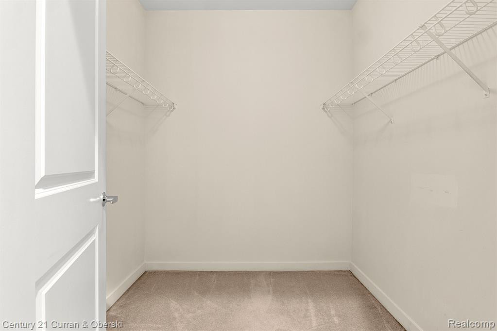 1135 Shelby Street, 2803, Detroit, MI 48226 — Photo 12