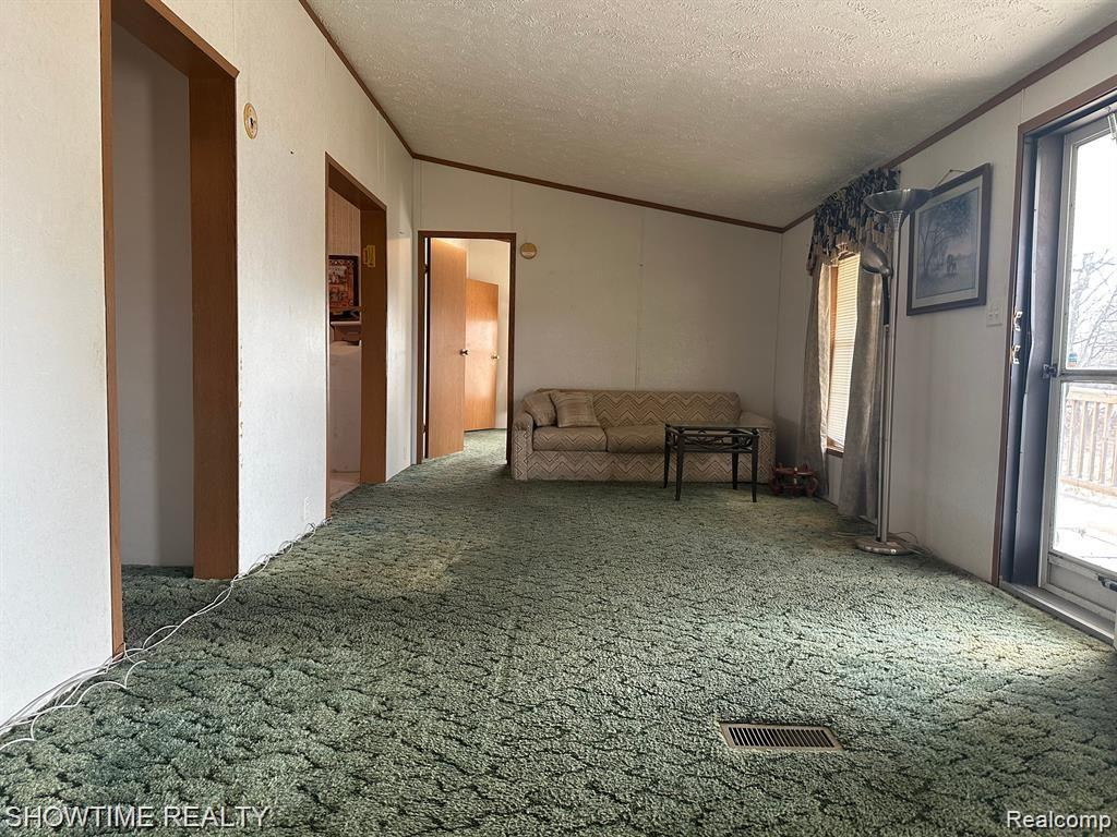 6875 ARMSTRONG Road, Imlay City, MI 48444 — Photo 4