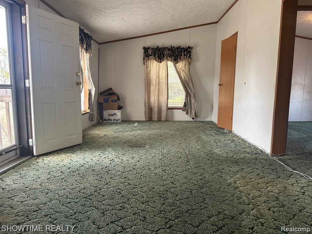 6875 ARMSTRONG Road, Imlay City, MI 48444 — Photo 5