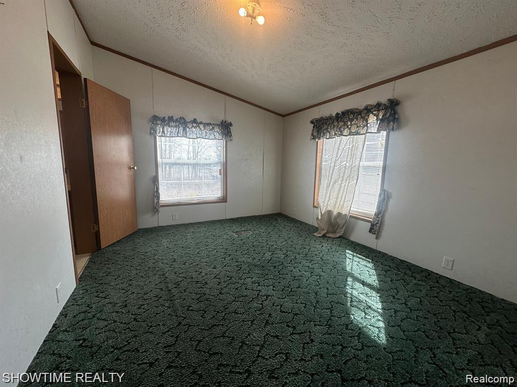 6875 ARMSTRONG Road, Imlay City, MI 48444 — Photo 9
