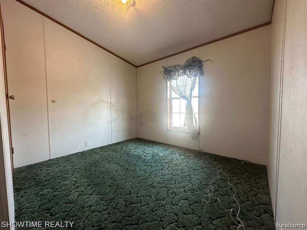 6875 ARMSTRONG Road, Imlay City, MI 48444 — Photo 12