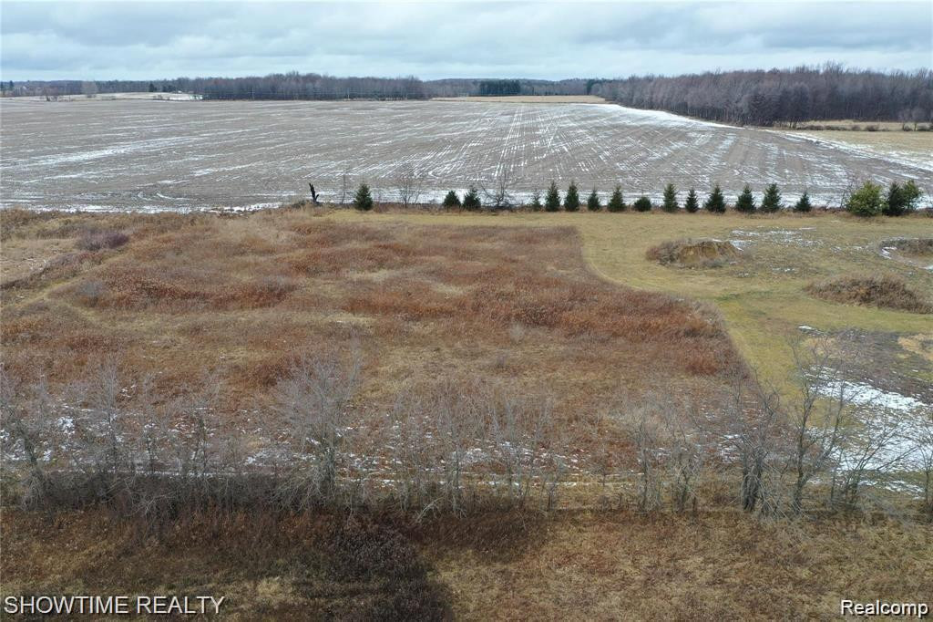 6875 ARMSTRONG Road, Imlay City, MI 48444 — Photo 18
