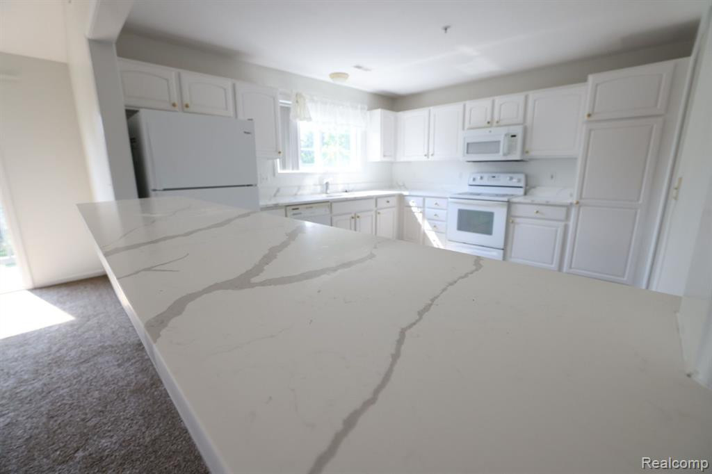 28385 CARLTON WAY Drive, Novi, MI 48377 — Photo 9
