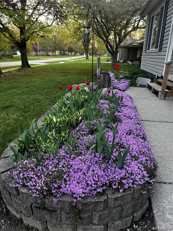 23433 Hollweg Street, Armada, MI — Photo 43